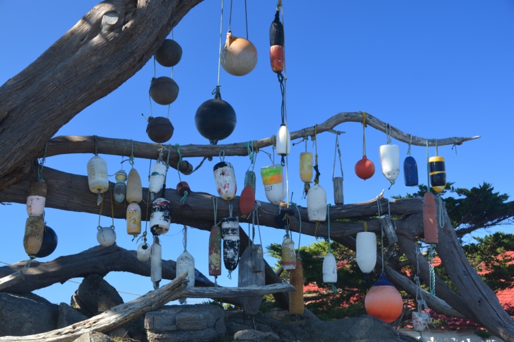 bouys hanging from tree